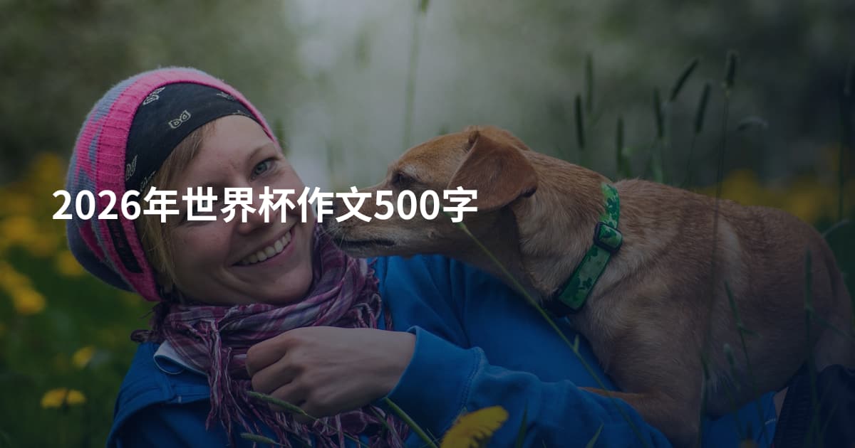 2026年世界杯作文500字