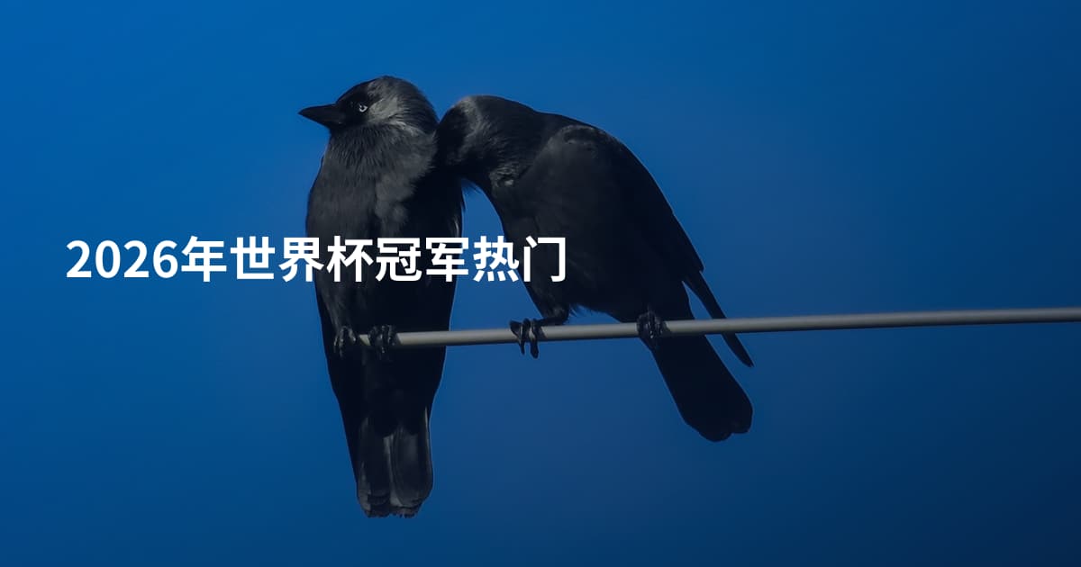 2026年世界杯冠军热门