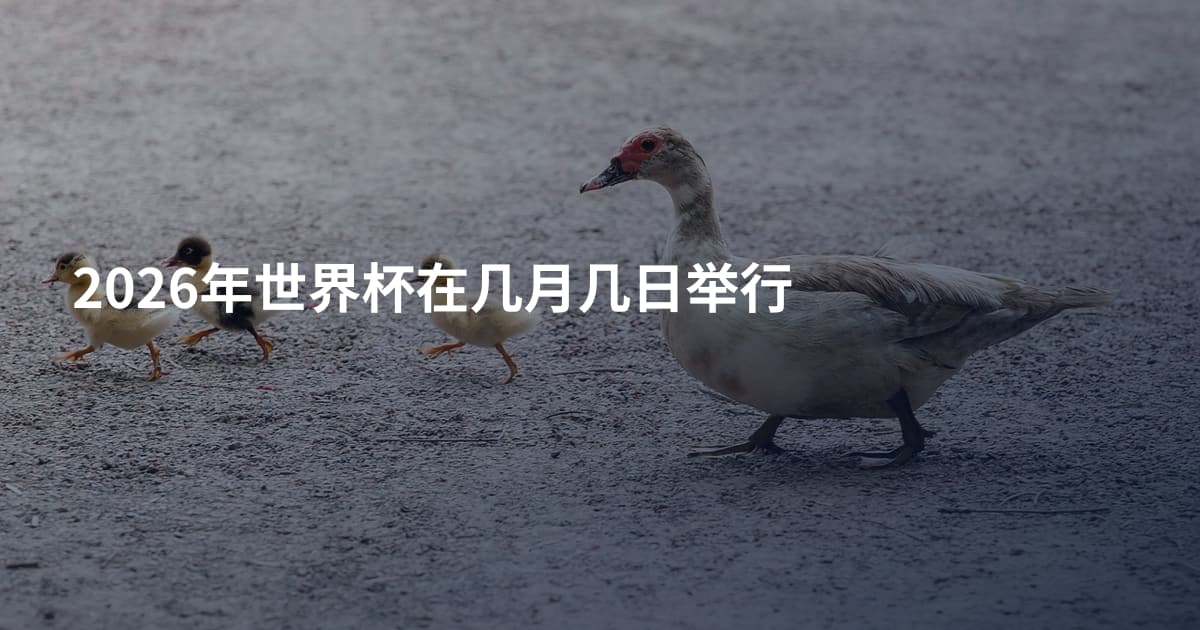 2026年世界杯在几月几日举行