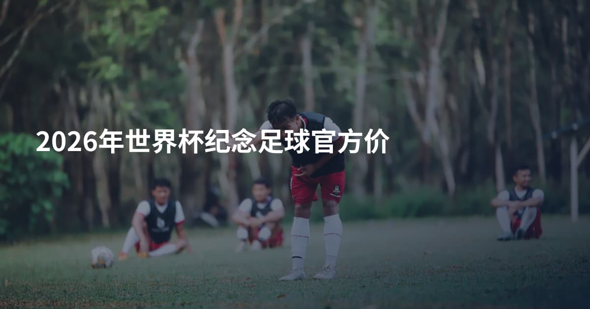 2026年世界杯纪念足球官方价