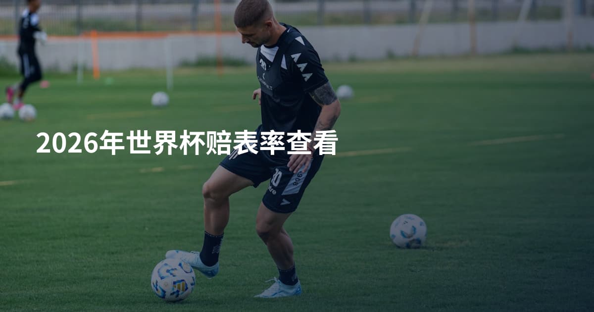 2026年世界杯赔表率查看