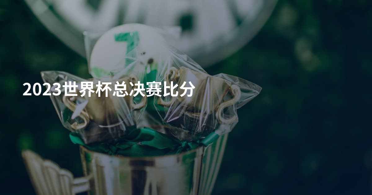 2023世界杯总决赛比分