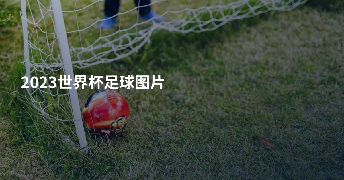 2023世界杯足球图片