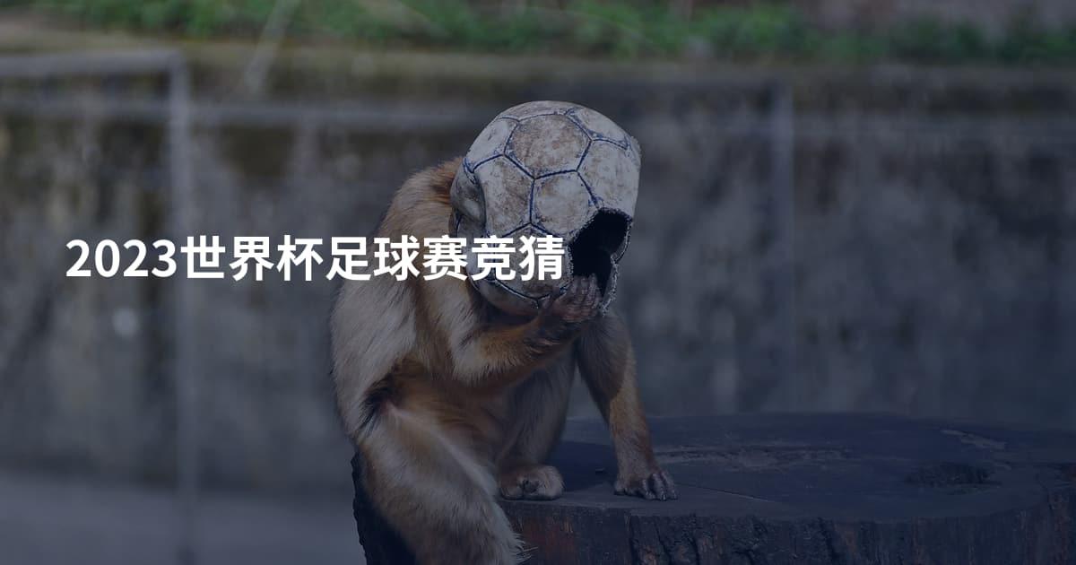 2023世界杯足球赛竞猜