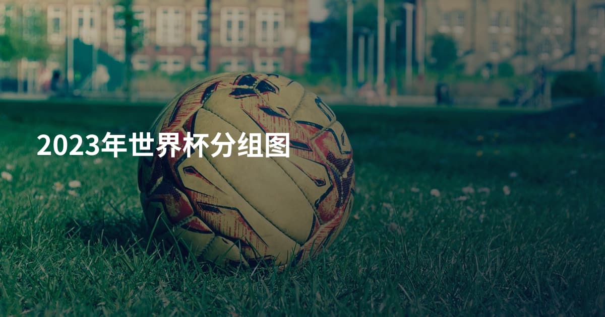 2023年世界杯分组图
