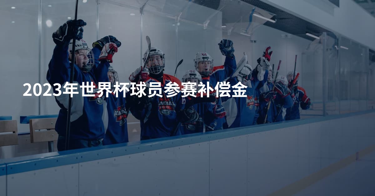 2023年世界杯球员参赛补偿金