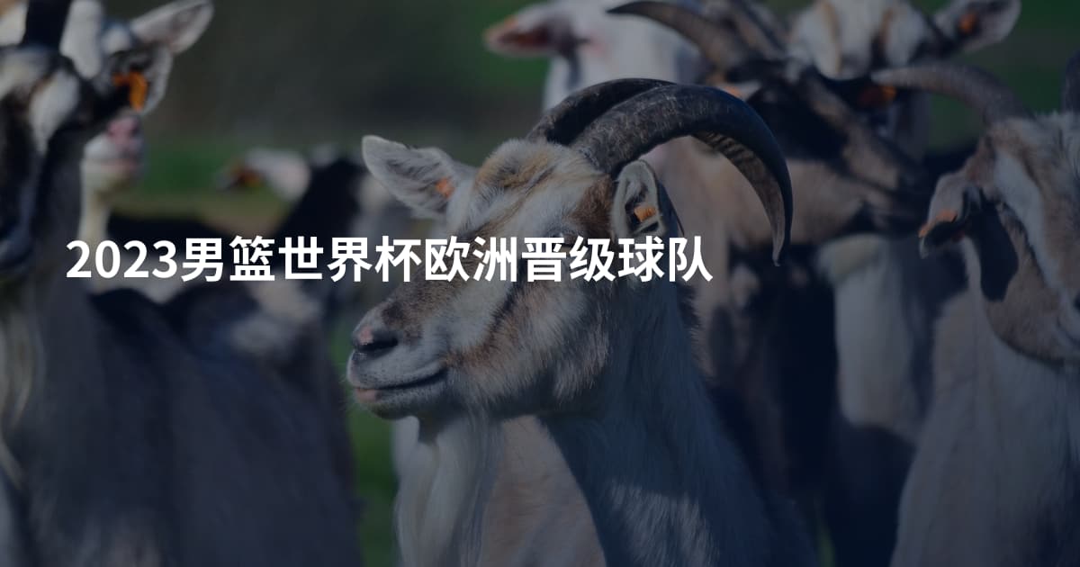 2023男篮世界杯欧洲晋级球队
