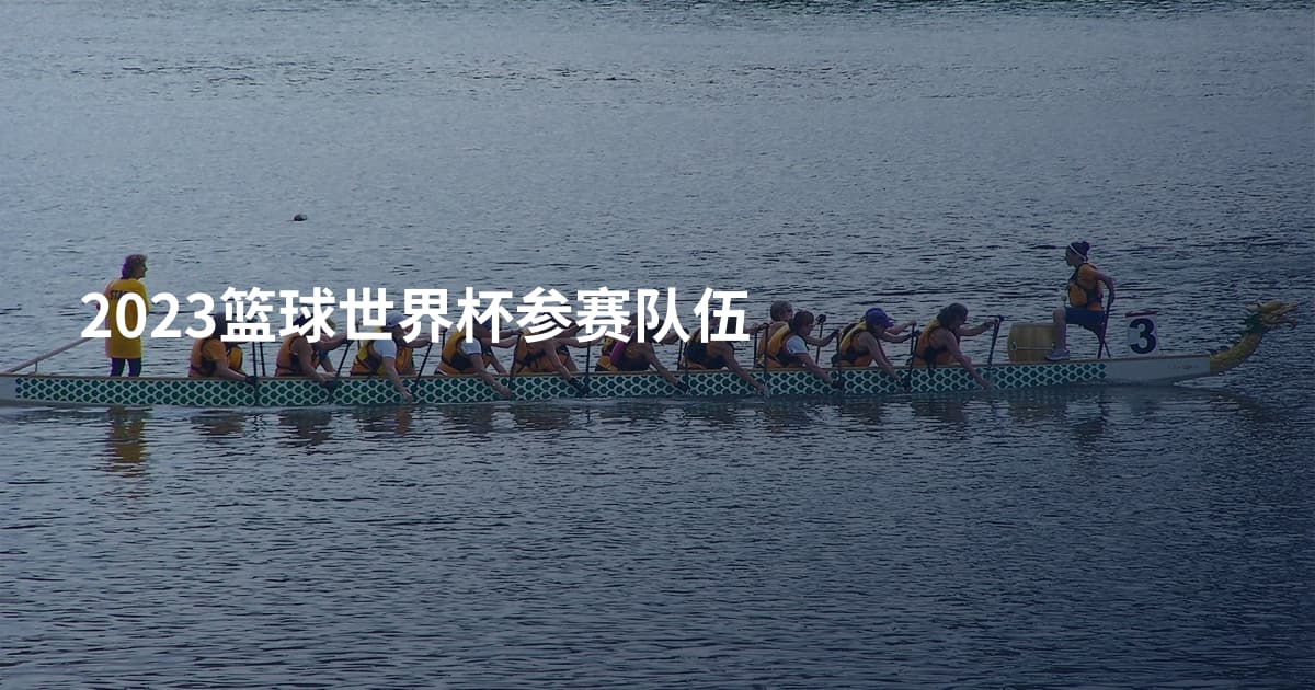 2023篮球世界杯参赛队伍