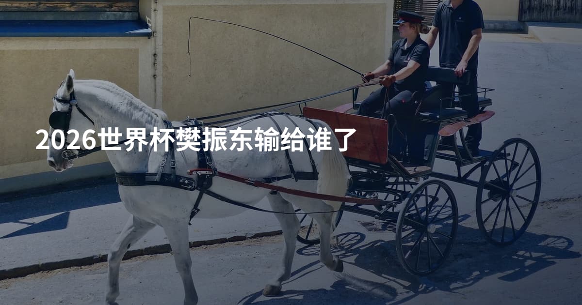2026世界杯樊振东输给谁了