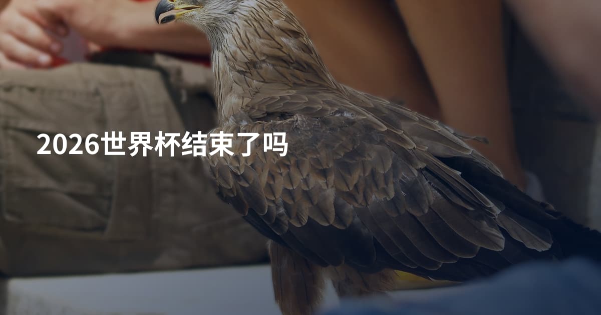 2026世界杯结束了吗