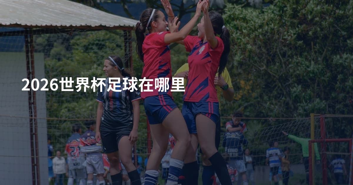 2026世界杯足球在哪里