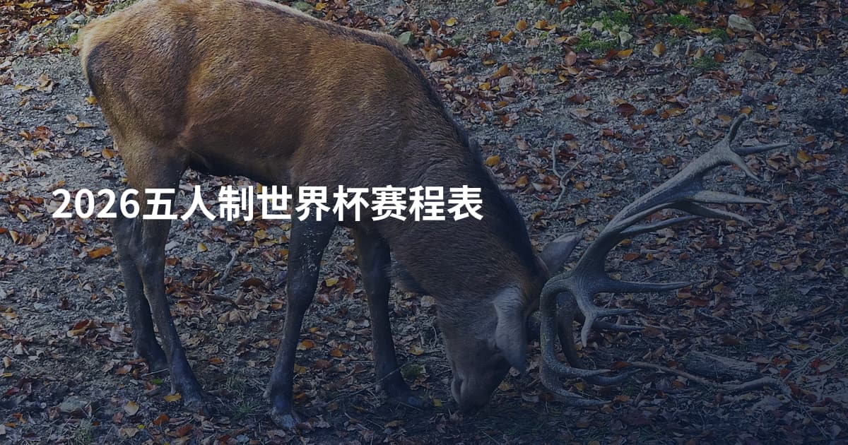 2026五人制世界杯赛程表