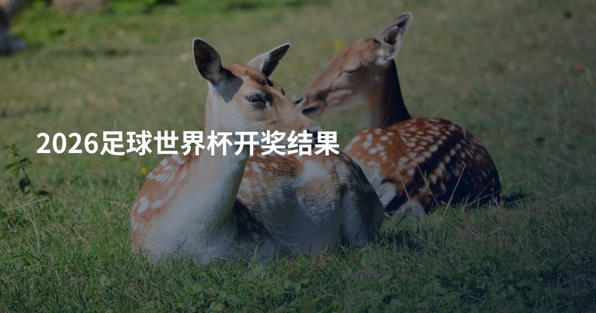 2026足球世界杯开奖结果