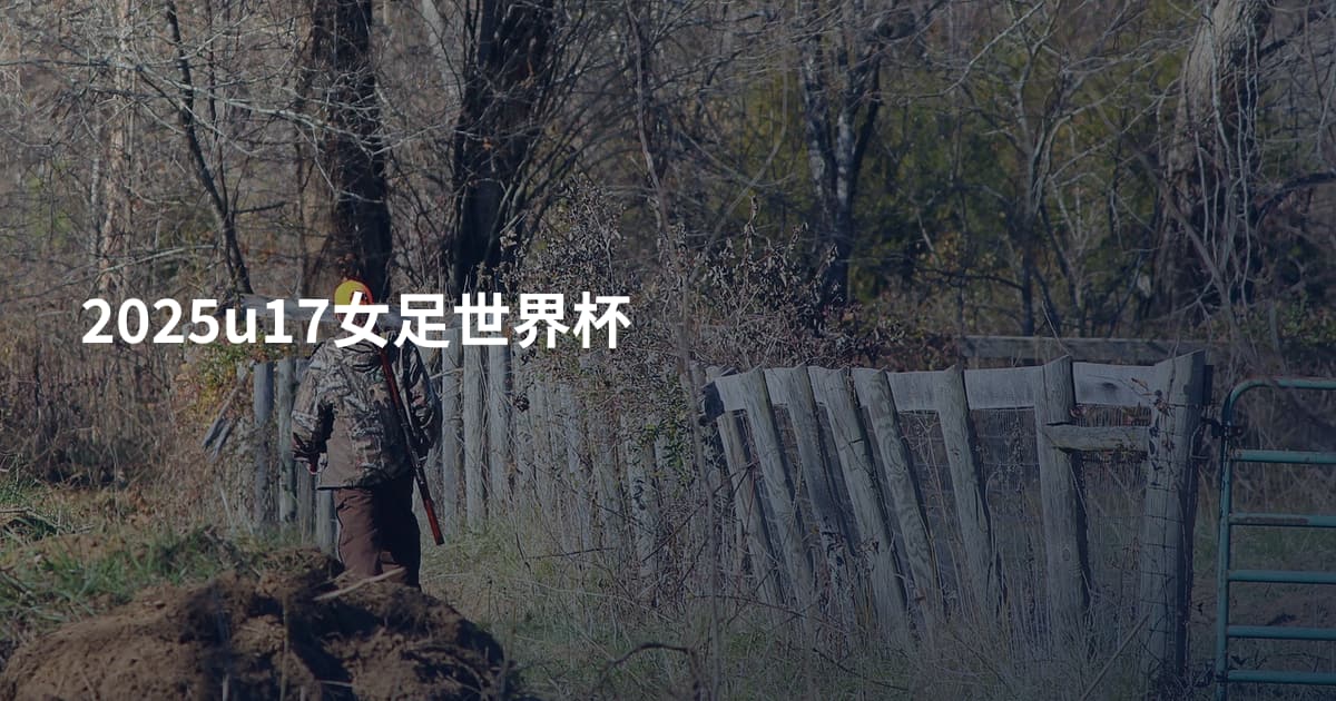 2025u17女足世界杯