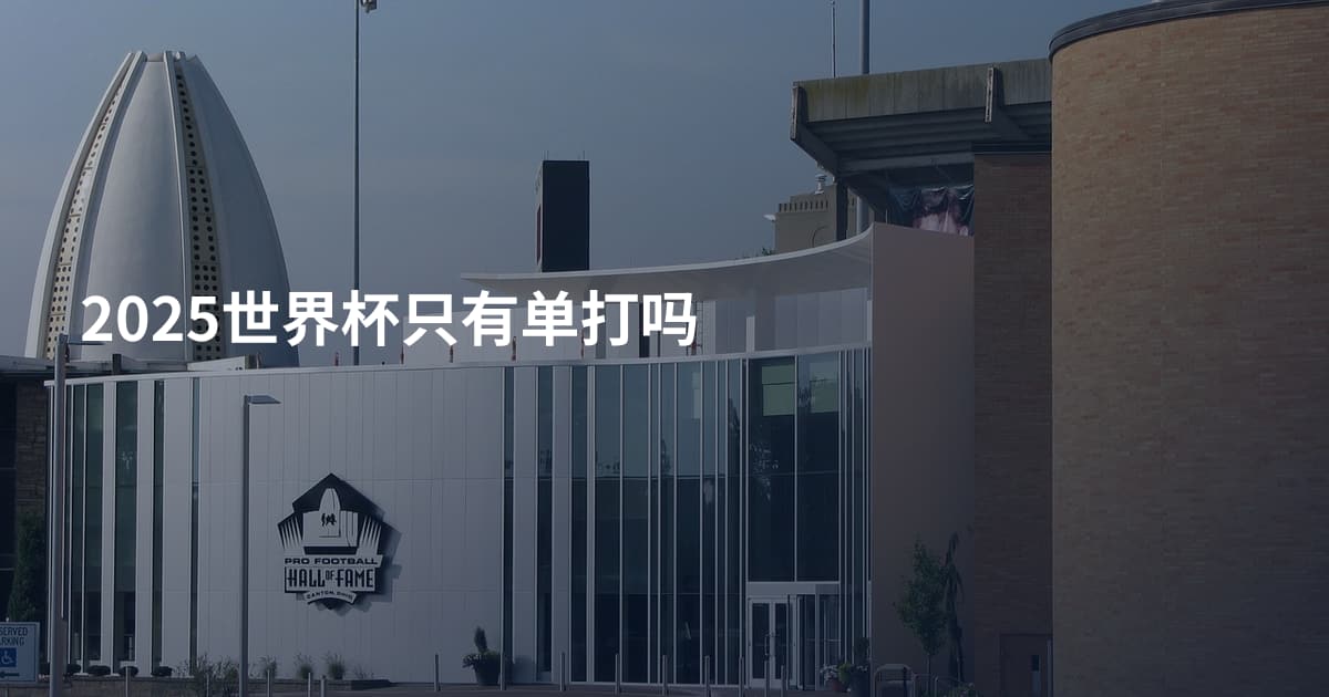 2025世界杯只有单打吗