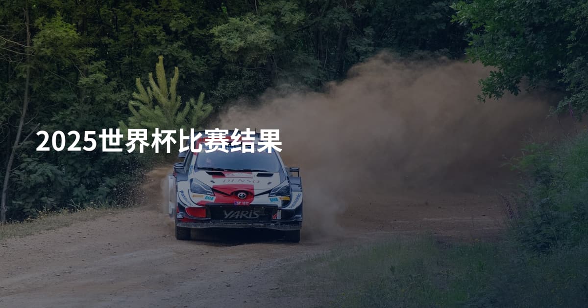 2025世界杯比赛结果