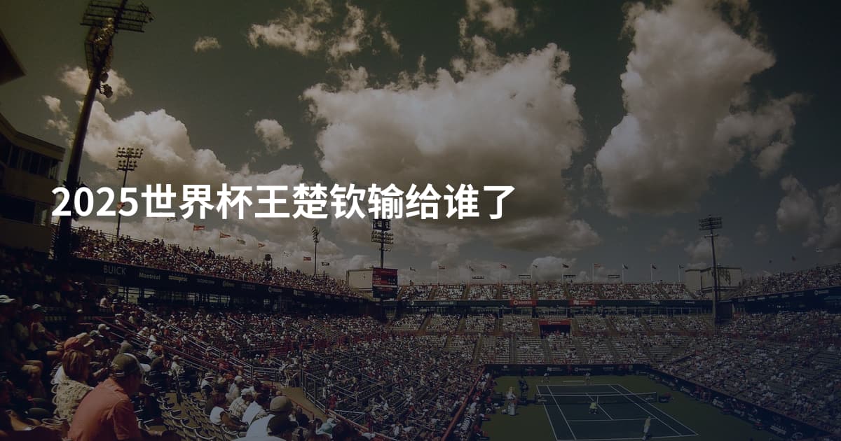 2025世界杯王楚钦输给谁了