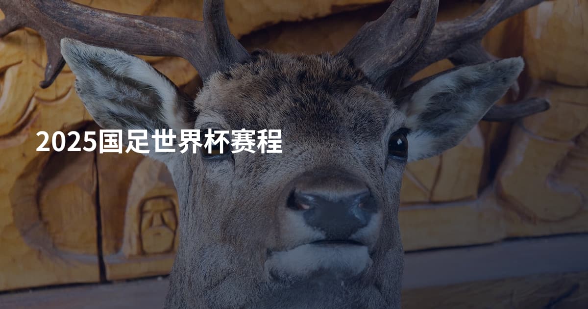 2025国足世界杯赛程