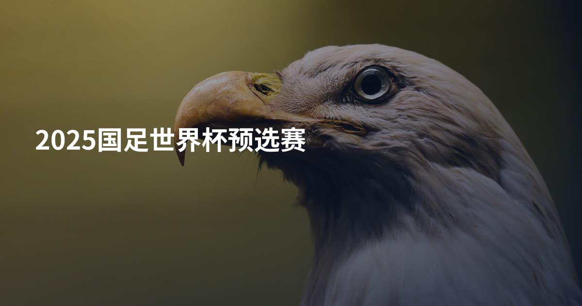 2025国足世界杯预选赛