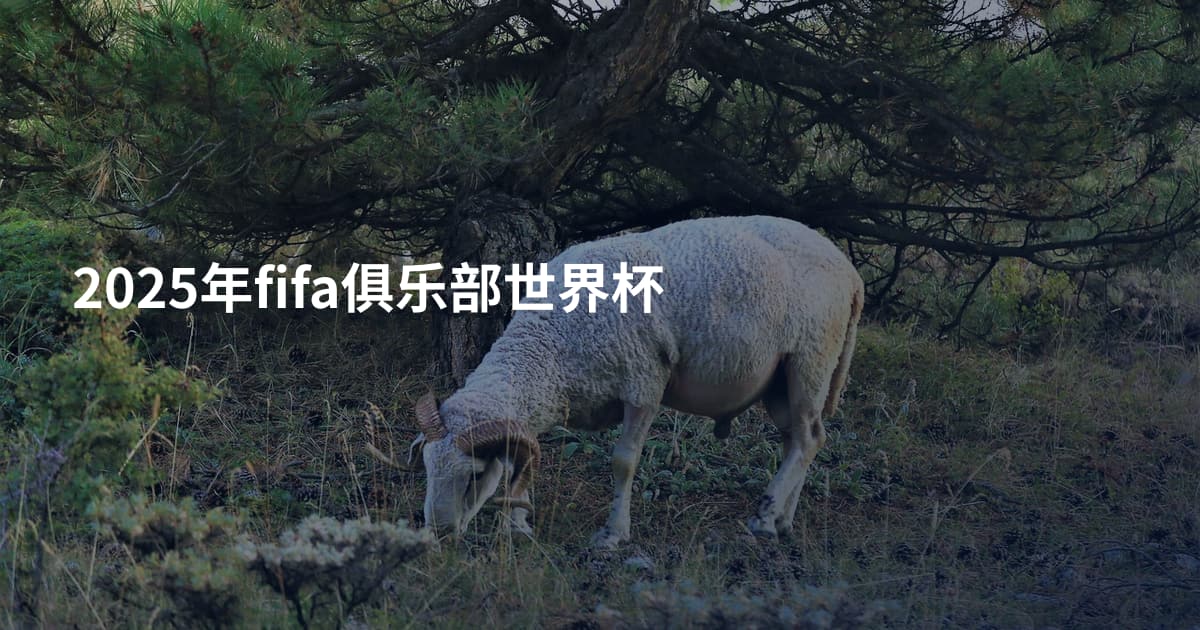 2025年fifa俱乐部世界杯
