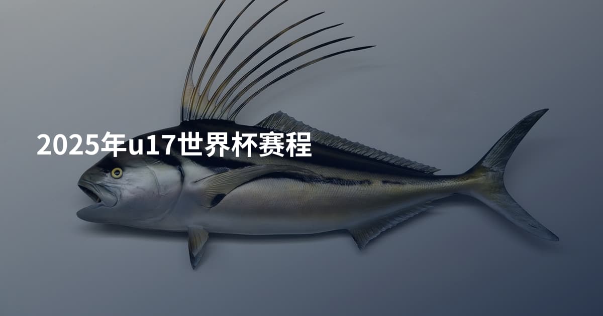 2025年u17世界杯赛程