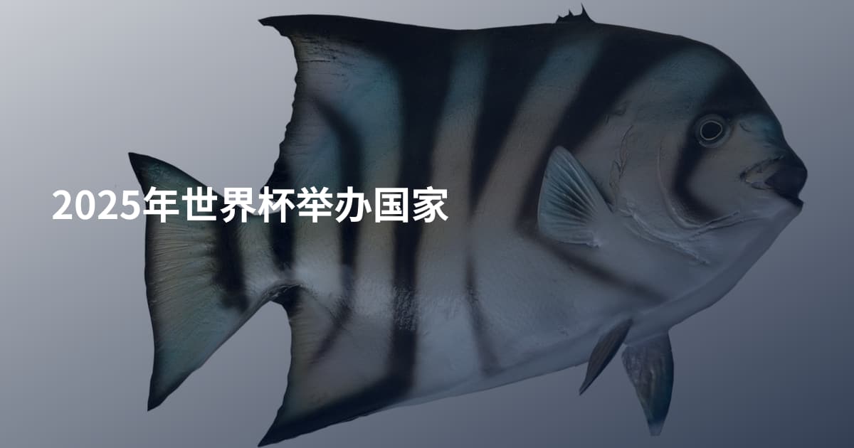 2025年世界杯举办国家