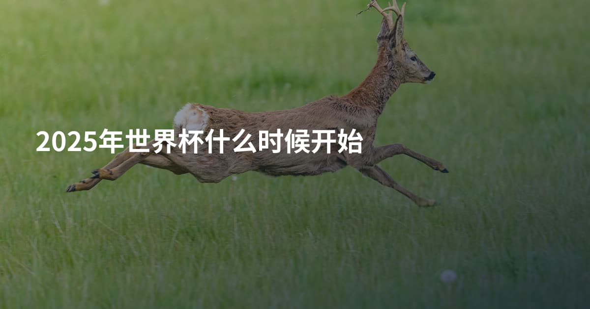 2025年世界杯什么时候开始