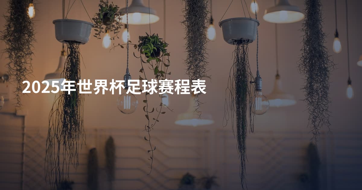 2025年世界杯足球赛程表