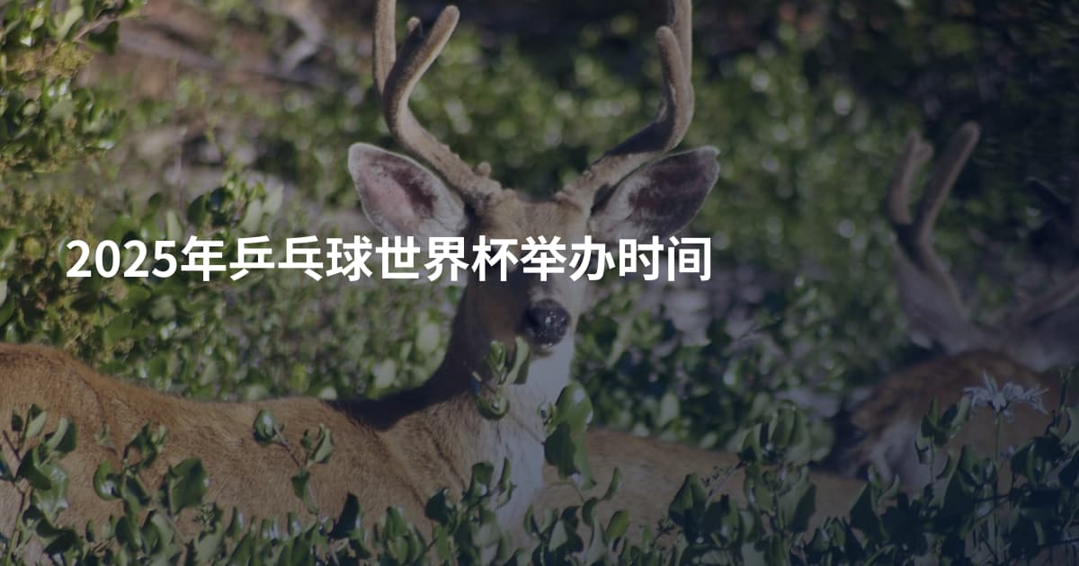 2025年乒乓球世界杯举办时间