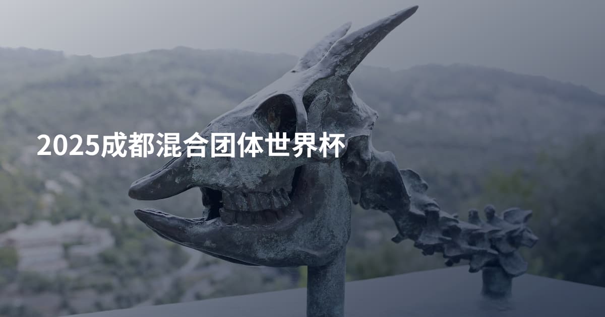 2025成都混合团体世界杯