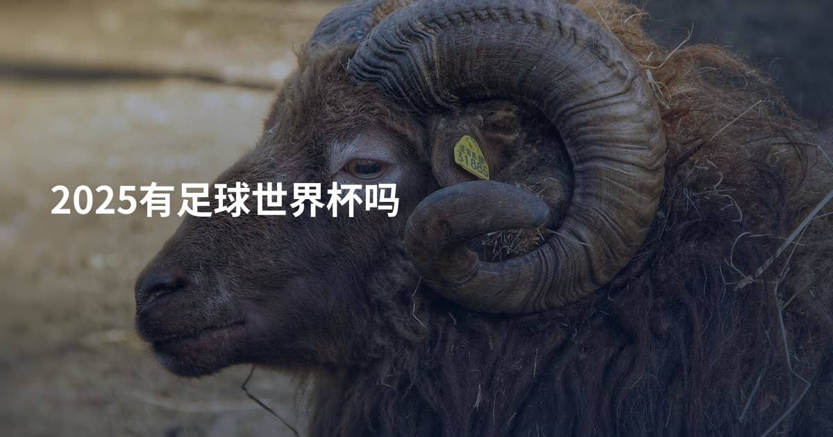 2025有足球世界杯吗