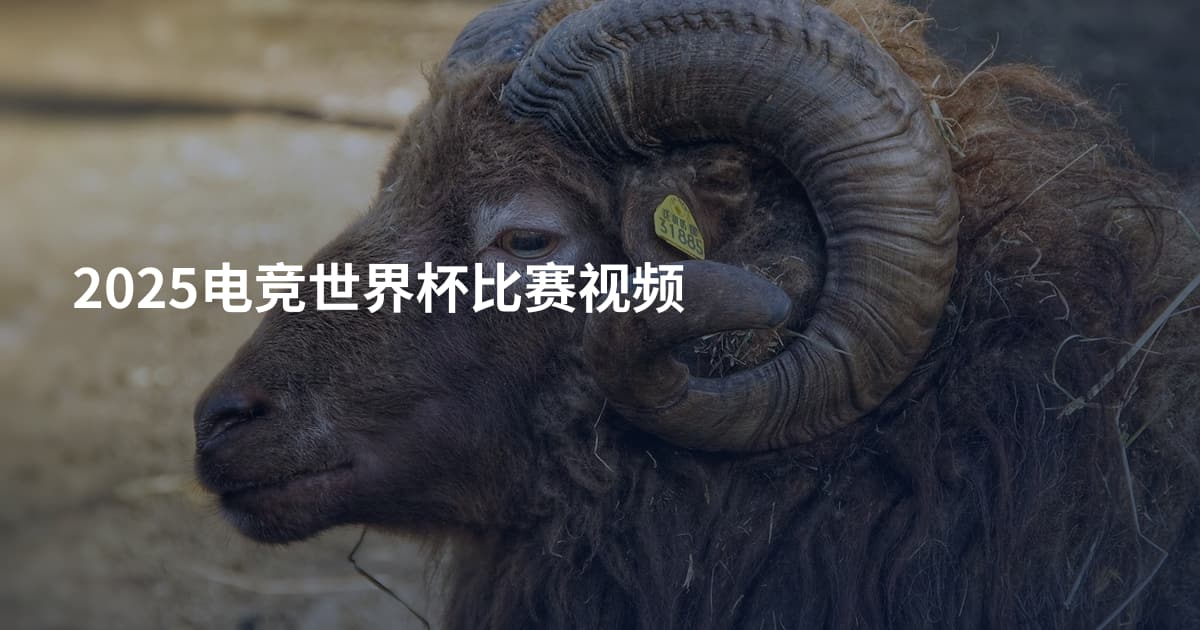 2025电竞世界杯比赛视频