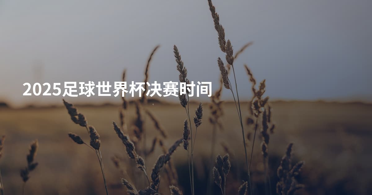 2025足球世界杯决赛时间