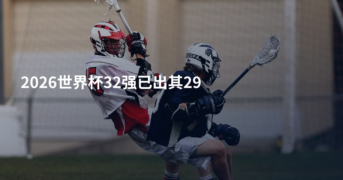 2026世界杯32强已出其29