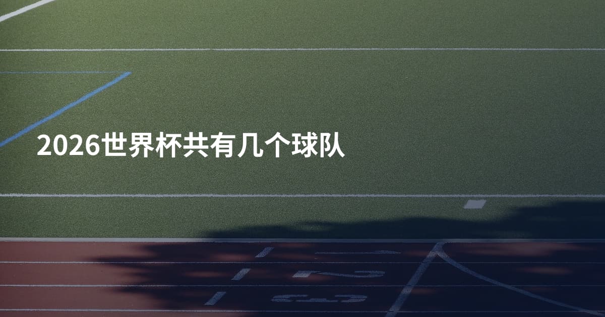2026世界杯共有几个球队