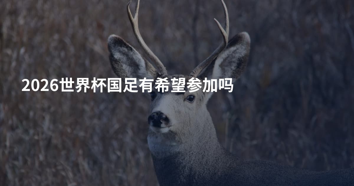 2026世界杯国足有希望参加吗