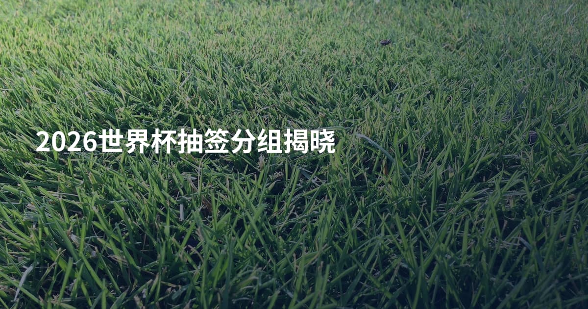 2026世界杯抽签分组揭晓