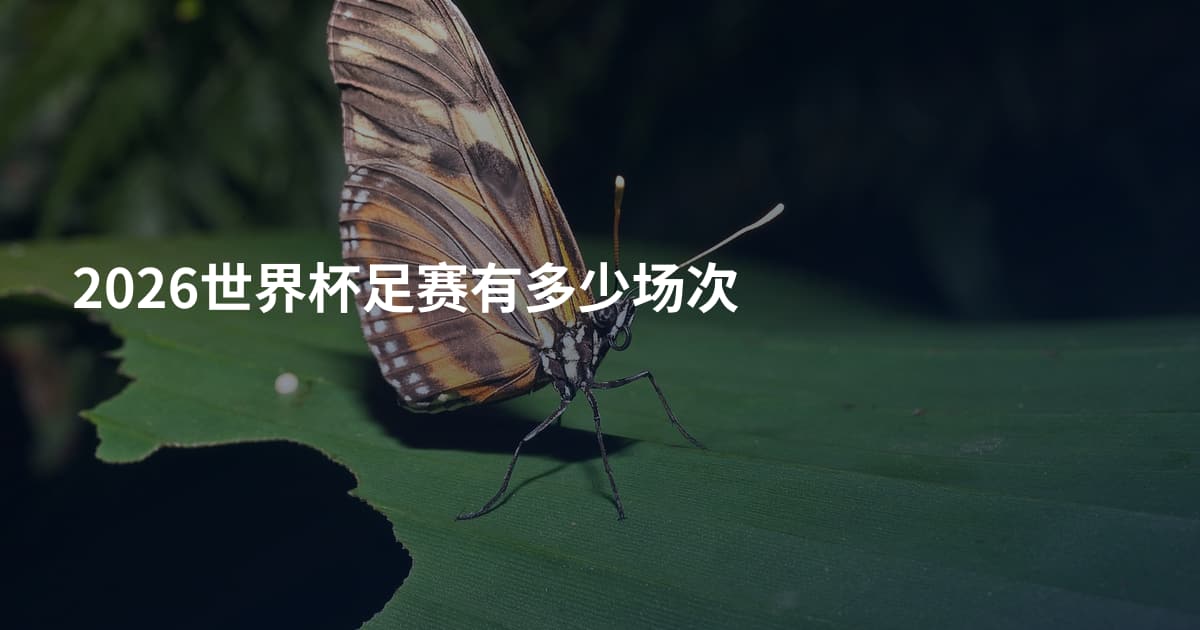 2026世界杯足赛有多少场次