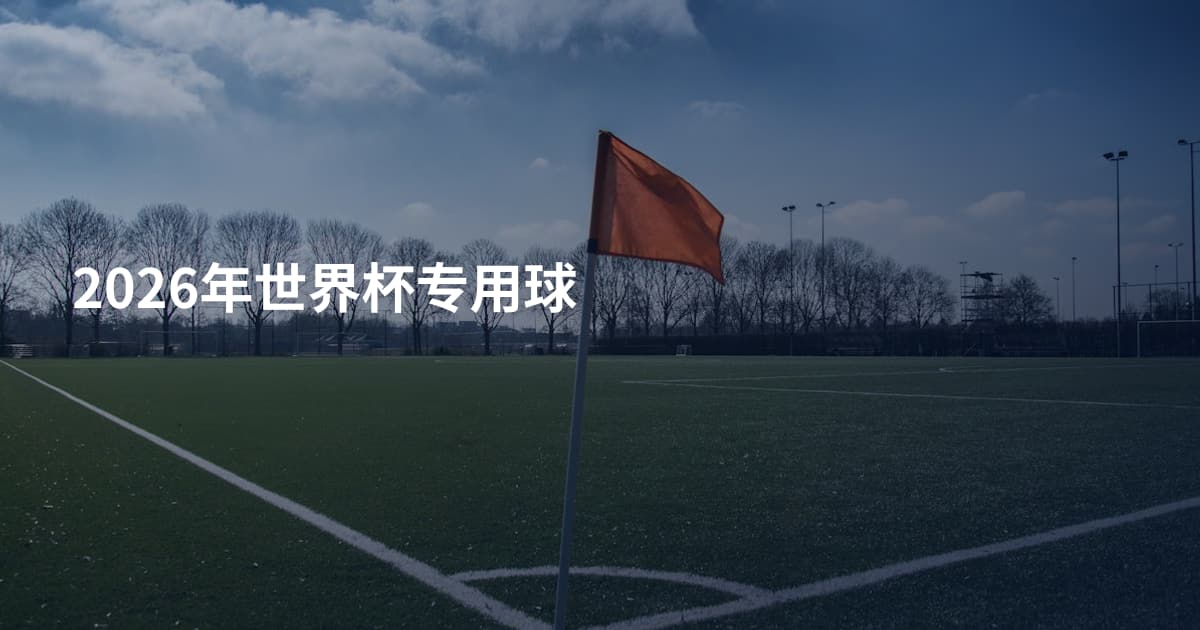2026年世界杯专用球