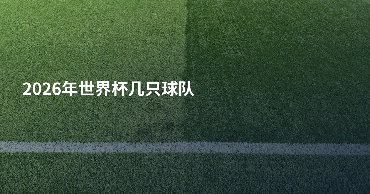 2026年世界杯几只球队