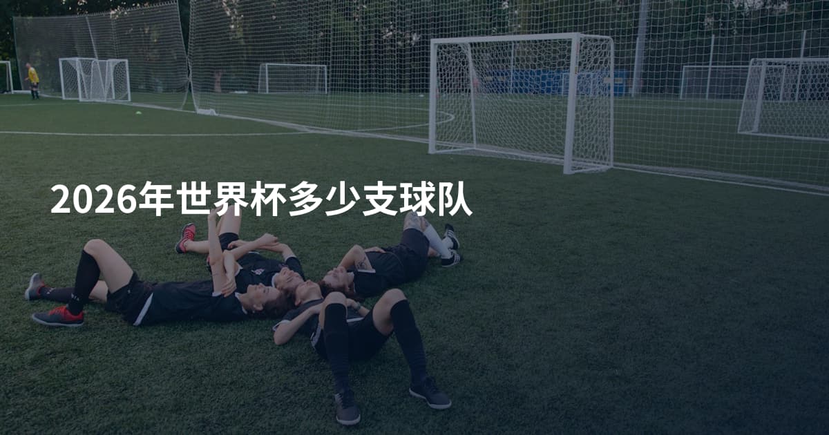 2026年世界杯多少支球队