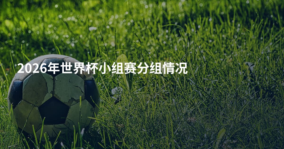 2026年世界杯小组赛分组情况