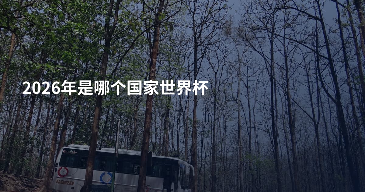 2026年是哪个国家世界杯