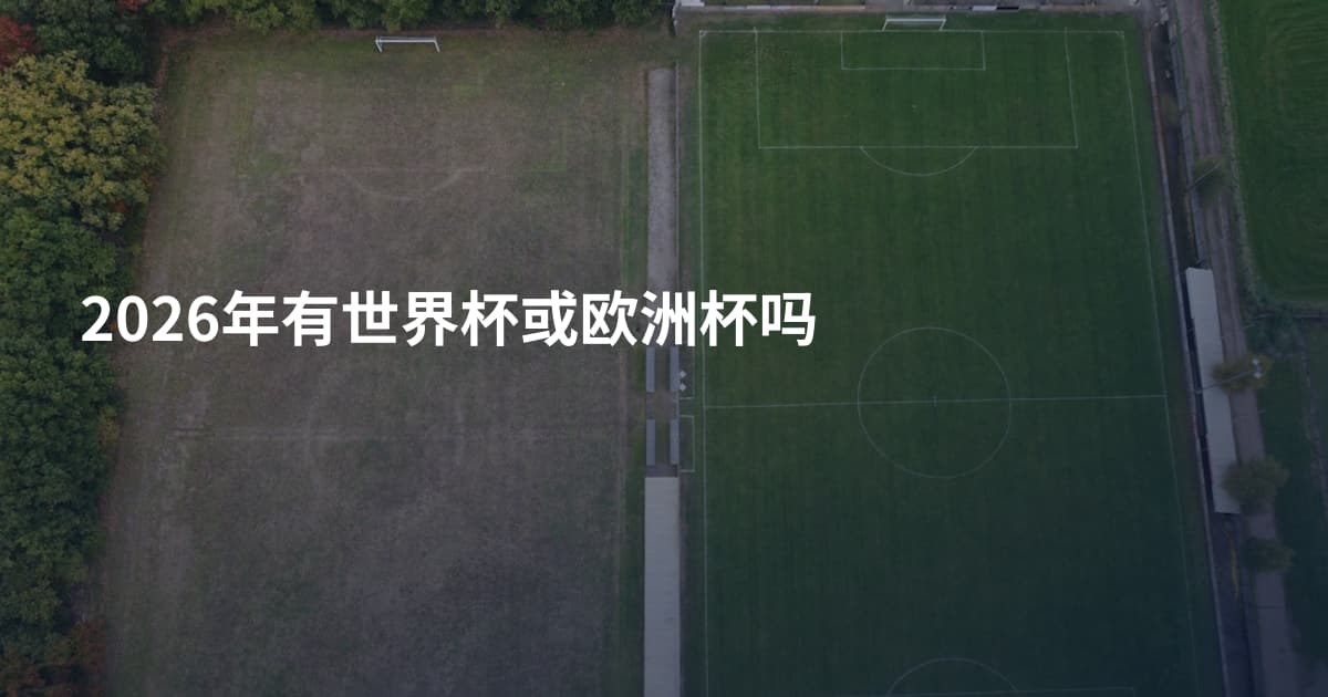 2026年有世界杯或欧洲杯吗