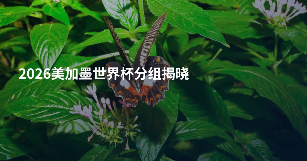 2026美加墨世界杯分组揭晓