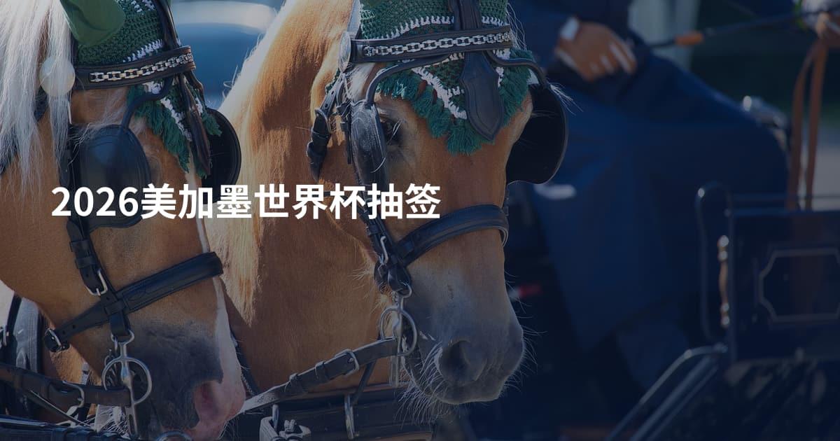 2026美加墨世界杯抽签