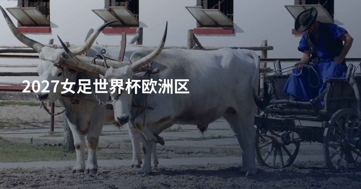2027女足世界杯欧洲区
