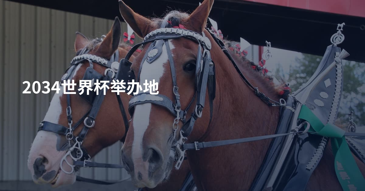 2034世界杯举办地