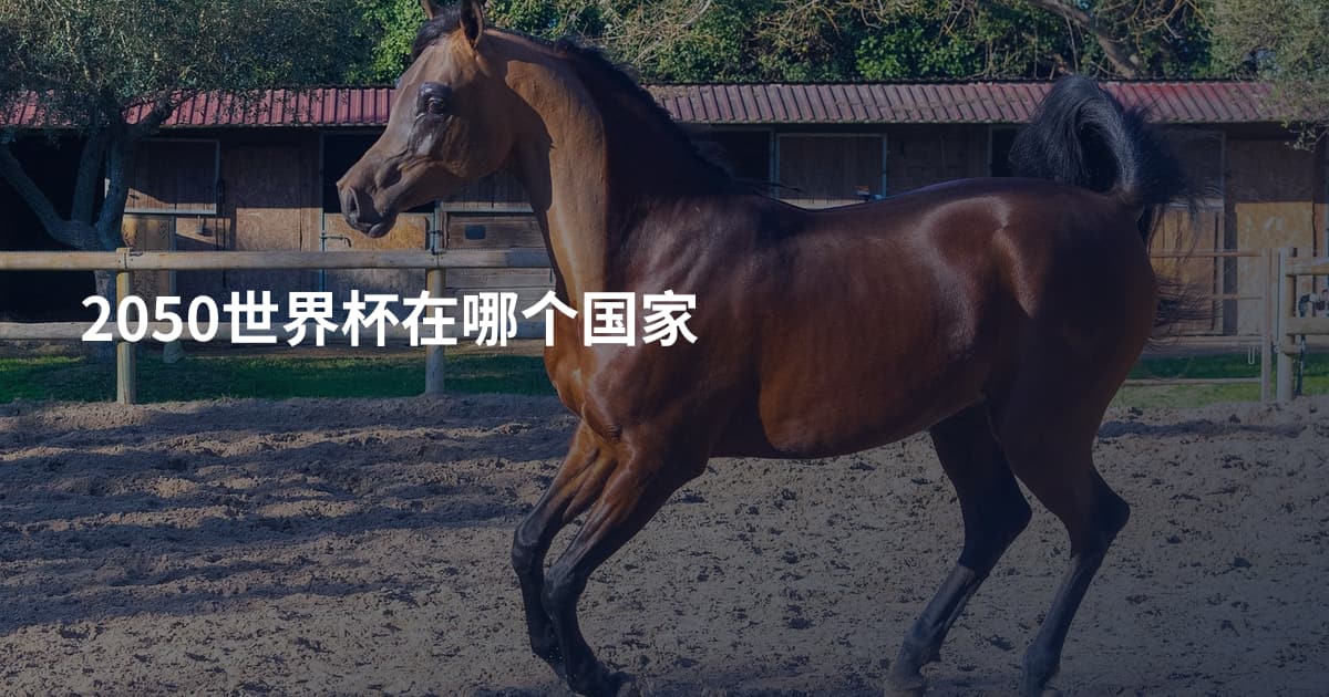 2050世界杯在哪个国家