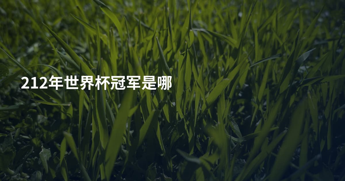 212年世界杯冠军是哪